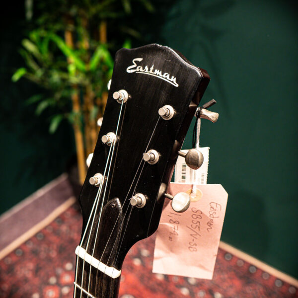 eastman sb55/v sb : solid body lollar p90