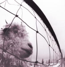 image of PEARL JAM - Vs