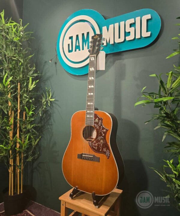 sigma sg dm sg5 acoustic guitar