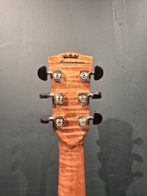 merida procnias 36gsc travel guitar jam