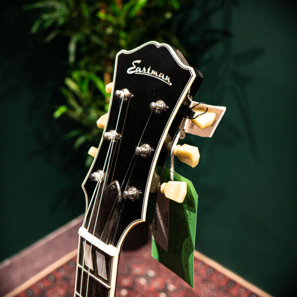 eastman t486 bk : 16 thinline seymour duncan hb"