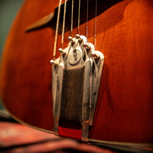 eastman dm2/v gypsy jazz antique varnish