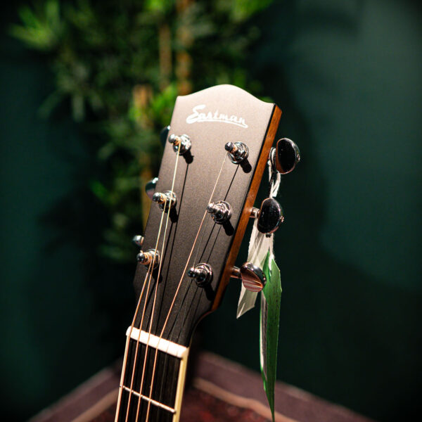 eastman ac422ce ltd koa ga // l.r baggs