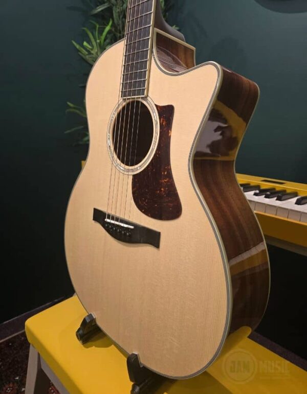 eastman ac422ce ( l.r.baggs )