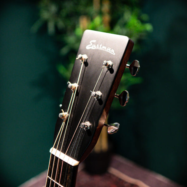 eastman e10d tc
