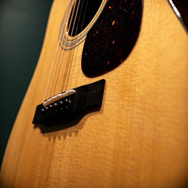 eastman e10d tc