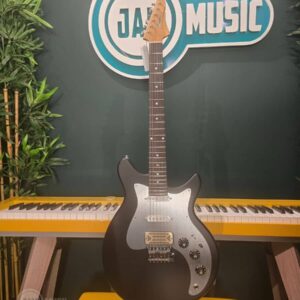 eastman fullertone dc 62 moss black