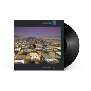 pink floyd a momentary lapse of reason