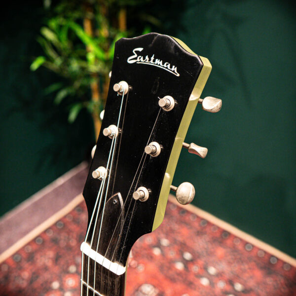 eastman sb55dc/tv od